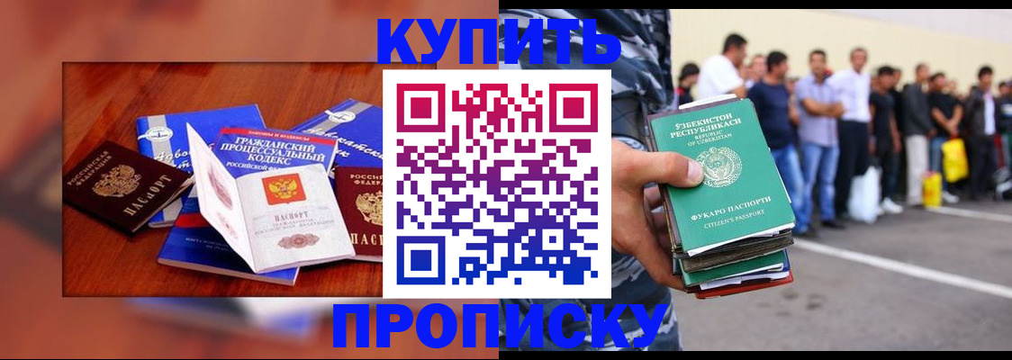 прописка для школы в Дмитрове